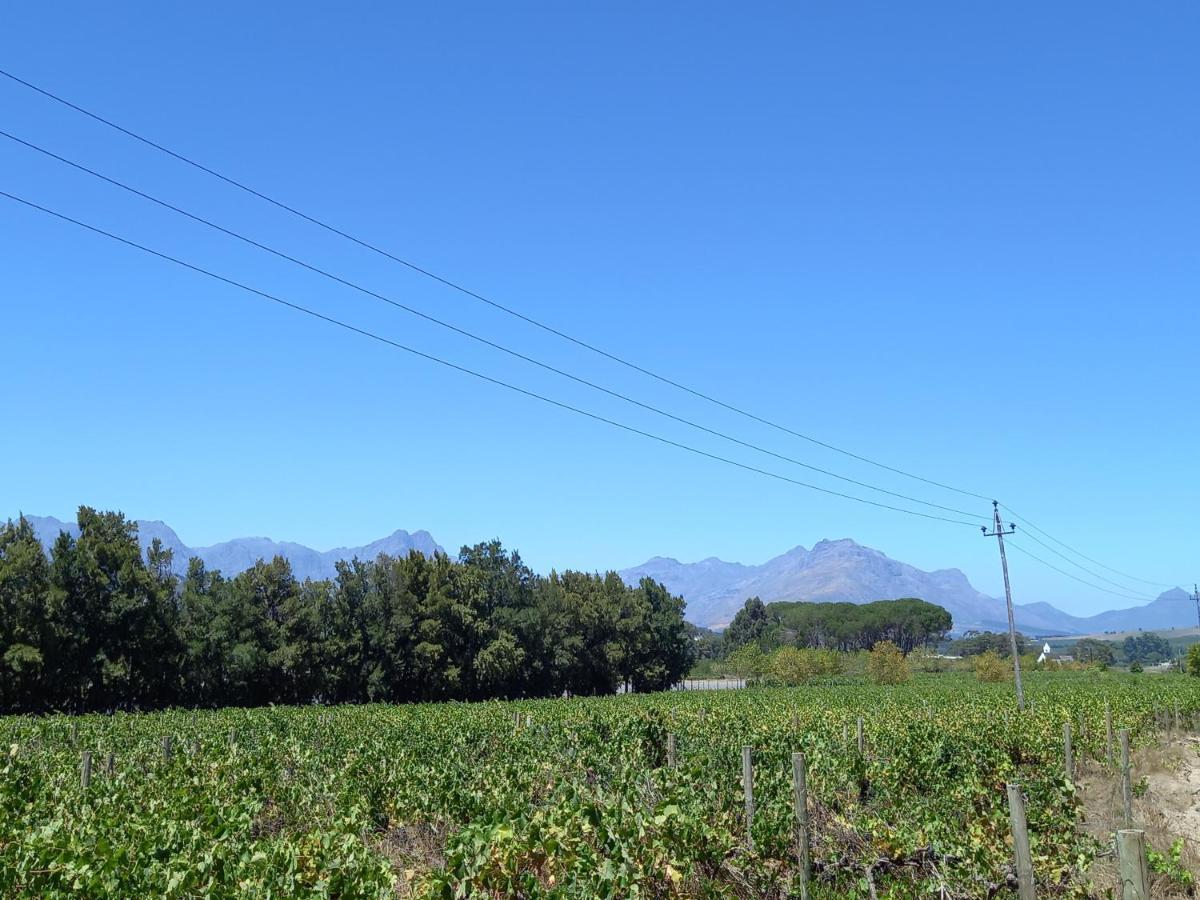 Rouana Guest Farm Hotel Stellenbosch Bagian luar foto
