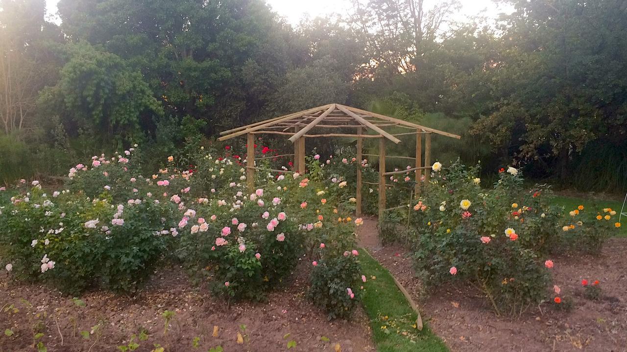 Rouana Guest Farm Hotel Stellenbosch Bagian luar foto