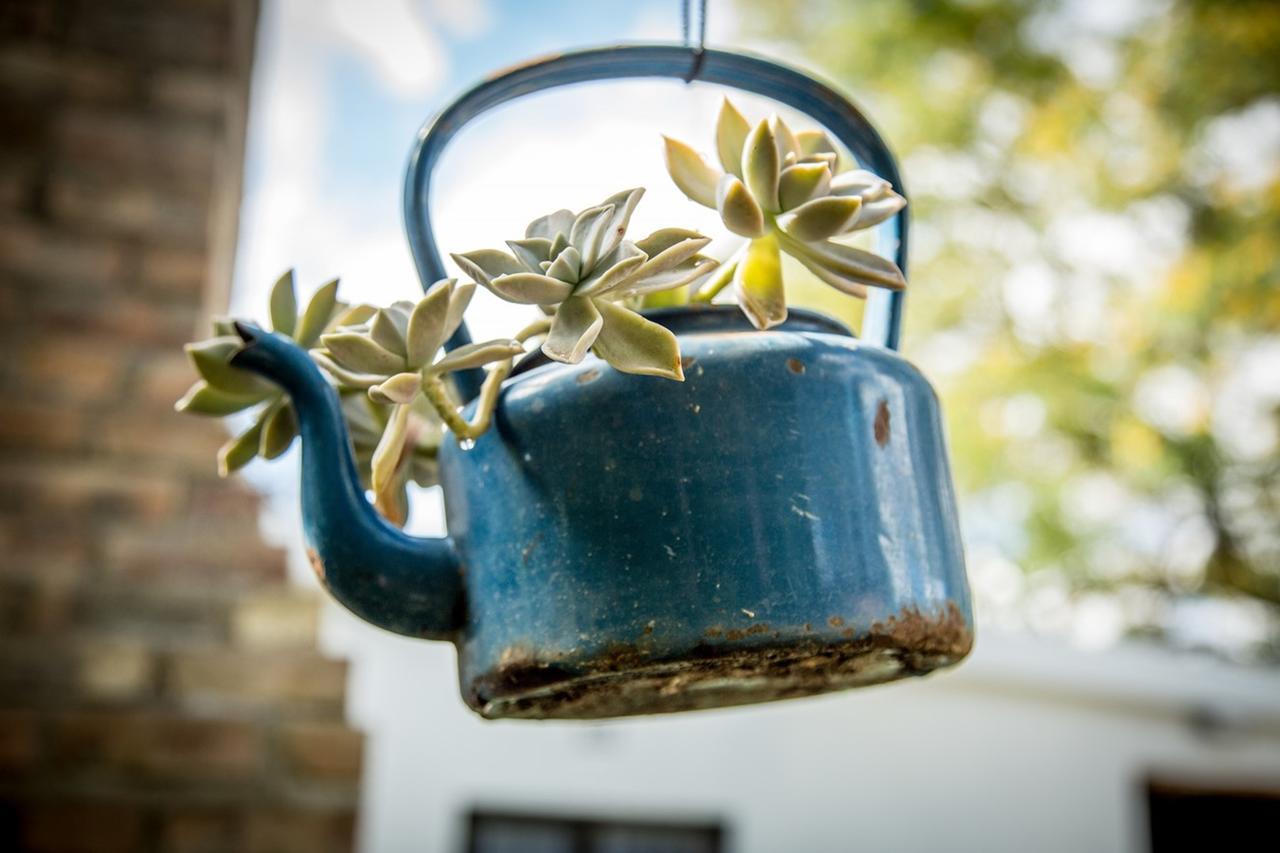 Rouana Guest Farm Hotel Stellenbosch Bagian luar foto