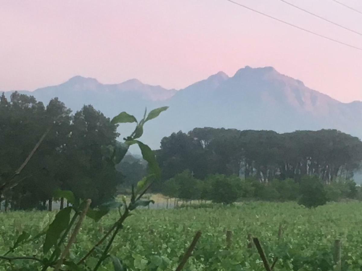 Rouana Guest Farm Hotel Stellenbosch Bagian luar foto