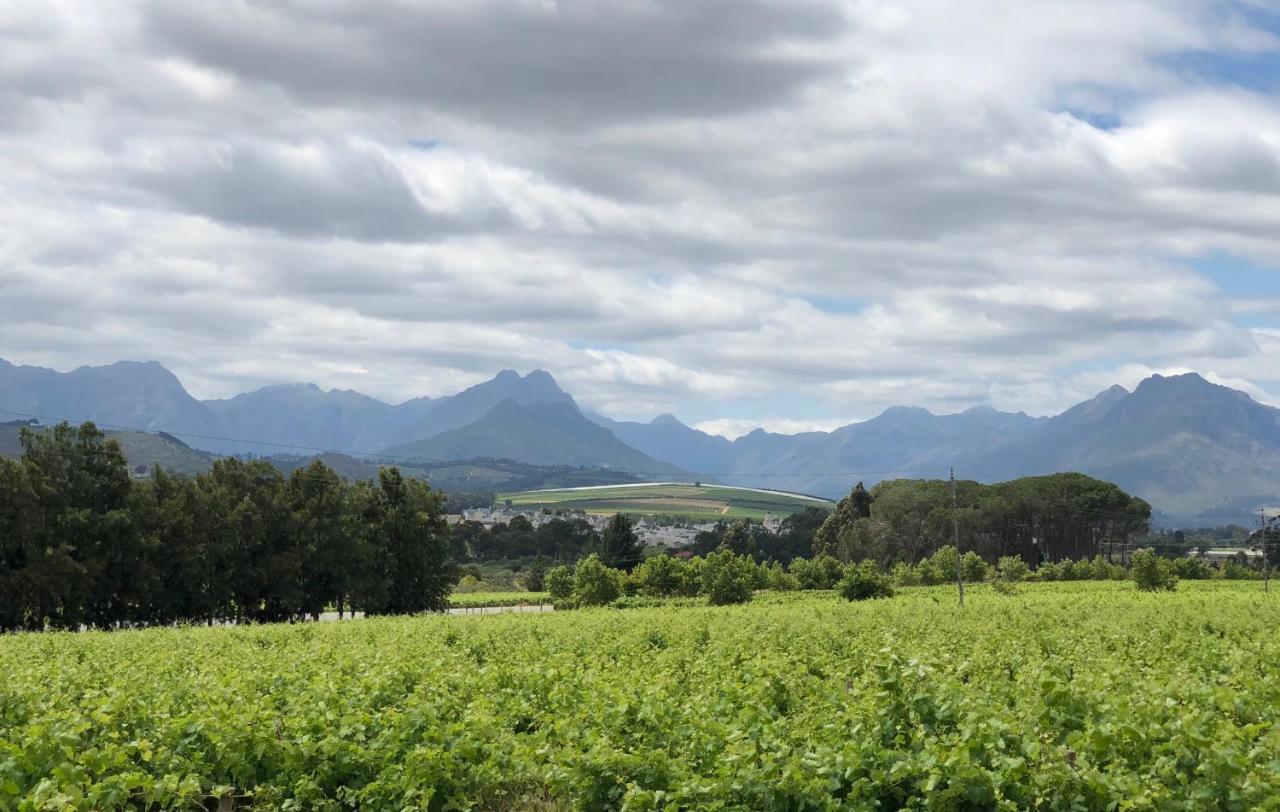Rouana Guest Farm Hotel Stellenbosch Bagian luar foto